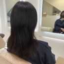 건니크 네이버블로그