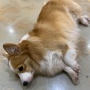 까페 개정촌 이미지