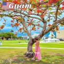 중부-현장-중부-1199 | 괌 여행 일정 괌 가볼만한곳 추천 카레라쇼 후기