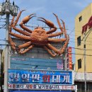 영일만회대게 이미지
