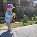 별빛애견펜션 이미지