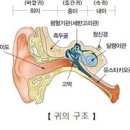 한쪽귀 안들림 증상 원인 치료 이미지