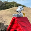 가든수목정 이미지