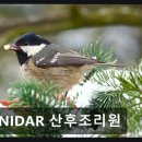 ANIDAR 산후조리원 네이버블로그