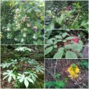 희망돈 농장 이미지