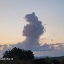 구름열매 이미지