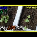 니도내도 이미지