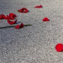 스페이스카우보이(SpaceCowboy)