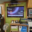 파파손돈까스 일원점 이미지