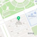 평촌성신약국 이미지