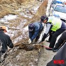 화흥 농장 이미지