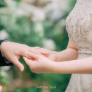 비브레스 이미지