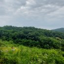 노적산농장 이미지