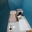 Y537호텔 이미지