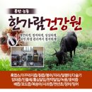 동탄능동한가람건강원