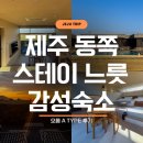 스테이제주작은별 | 제주 동쪽 표선 숙소 추천 '스테이 느릇' 제주도감성숙소