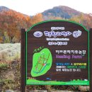 평창라벤다(유)농업회사법인