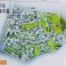 데코뜨