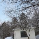 서울마트 | [전북 순창] 순창 독채 숙소 추천 / 뷰가 아름다운 숙소 '스테이사계'