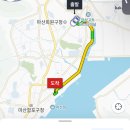 창원 마산 어시장 야장포차 해안선횟집 솔직후기