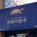 거북이동네울산삼산 이미지