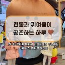 공룡약국 | 인사동 아이와 나들이 코스 추천｜인사동찻집 쌍화차 &amp; 라인프렌즈 스퀘어 구경 후기