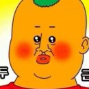 디자인키위