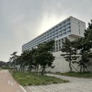 씨유 수영힐탑시티점 | 인천,영종도(네스트 호텔) 디럭스 더블 오션뷰