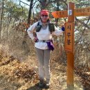 옥곡 장동리 쌍효정려비 | 전남 광양 가야산 (497m) &amp; 구봉산 전망대,