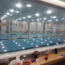 국가대표 어린이수영클럽 이미지