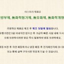 빵트리