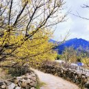 구례 지리산 리조트 이미지