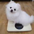 백양동물병원 이미지