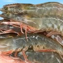 오앤와이스토어 이미지