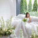 마이스튜디오 이미지