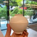 진설향 | 봄철 환절기 리치크림 추천, 50만원 상당 고가크림 설화수 진설크림 리얼후기