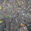 양지마을2로 이미지