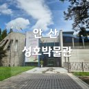성호박물관 | 안산 성호박물관 무료 실내 관람 나들이