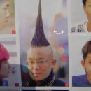 헤어스타일 Daum카페