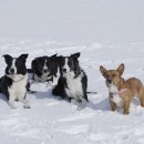 제주우리동물병원 이미지