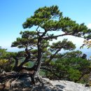 정상부 경관 이미지