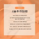 지산솔약국 | [리뷰] 당신의 속눈썹 바짝 올려드립니다! 수영 속눈썹펌 ✨️해드림스튜디오✨️
