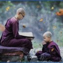 놀이터에서 만나 이미지