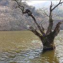 김서방대게수산 이미지