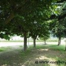 덕곡중학교 이미지