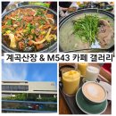 꽃수레커피 - 52412 | 북구 만덕 모임하기 좋은 오리고기 맛집 계곡 산장/커피는 만덕 대형 뷰 카페 M543 카페 갤러리에서