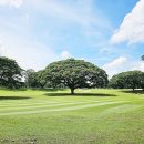 미래메디칼약국 이미지