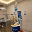 소영이네식당 | 속초 1박 2일 동안 먹은 것들 ㅎ