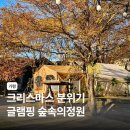 숲속의 정원 | 가평 글램핑장 숲속의정원 크리스마스 캠핑