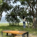 상념의 정원 이미지